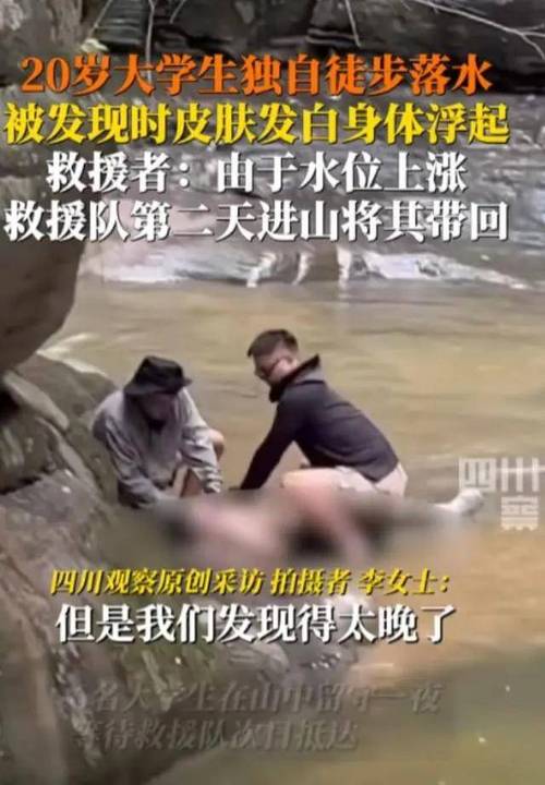 东莞侦探调查小三_侦探小三东莞调查是第几集_侦探小三东莞调查视频